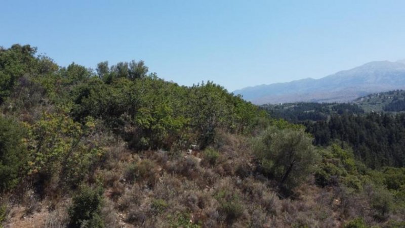 Neo Chorio im Apokoronas Kreta, Neo Chorio: Grundstück zu verkaufen Grundstück kaufen